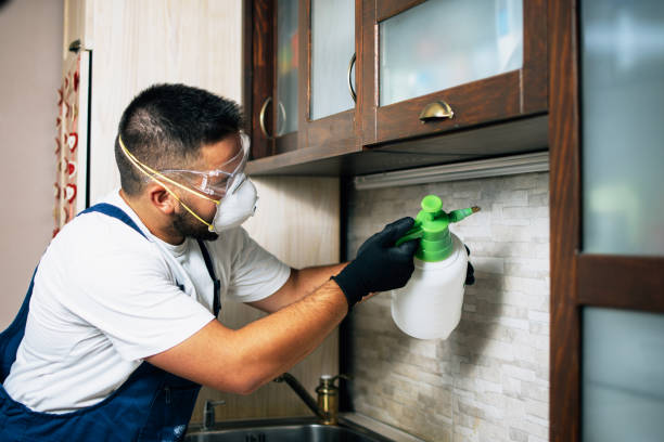 Best Emergency Pest Control  in Dahlone, GA