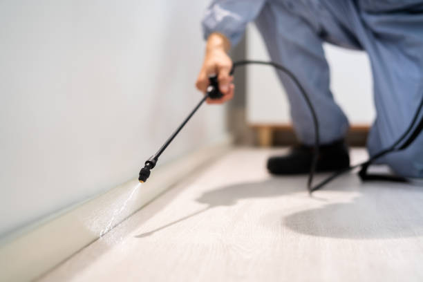 Best Exterminator Services  in Dahlone, GA