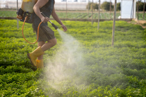 Best Best Pest Control Companies  in Dahlone, GA