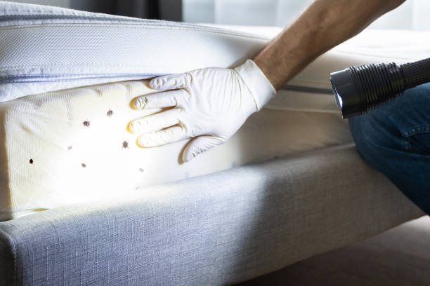 Best Best Pest Control Companies  in Dahlone, GA