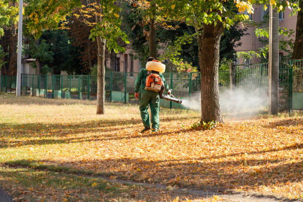 Best Flea Control Services  in Dahlone, GA