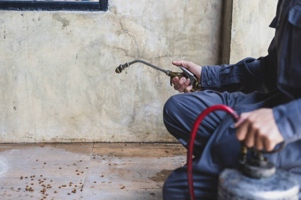 Best Commercial Pest Control Services  in Dahlone, GA